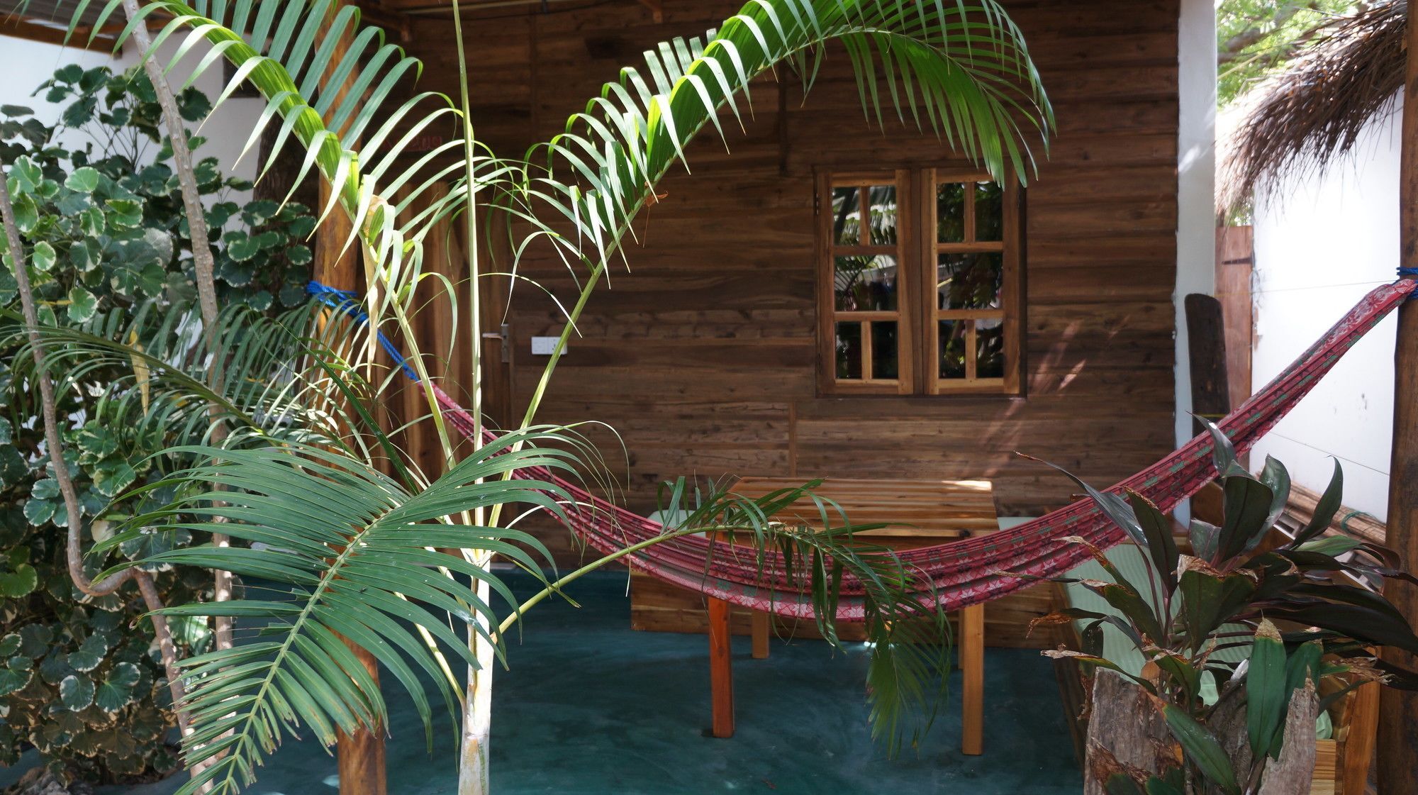 Garden Cottage Arugambay Arugam Bay Zewnętrze zdjęcie